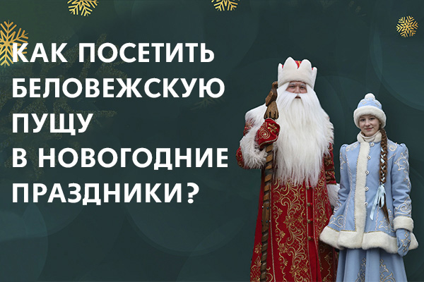 Посещение Беловежской пущи в Новогодние праздники!